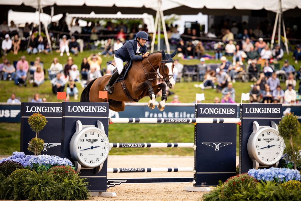 Akarad Hero Z's son shines at the Williamsburg World Cup